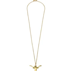 Long Longhorn Necklace
