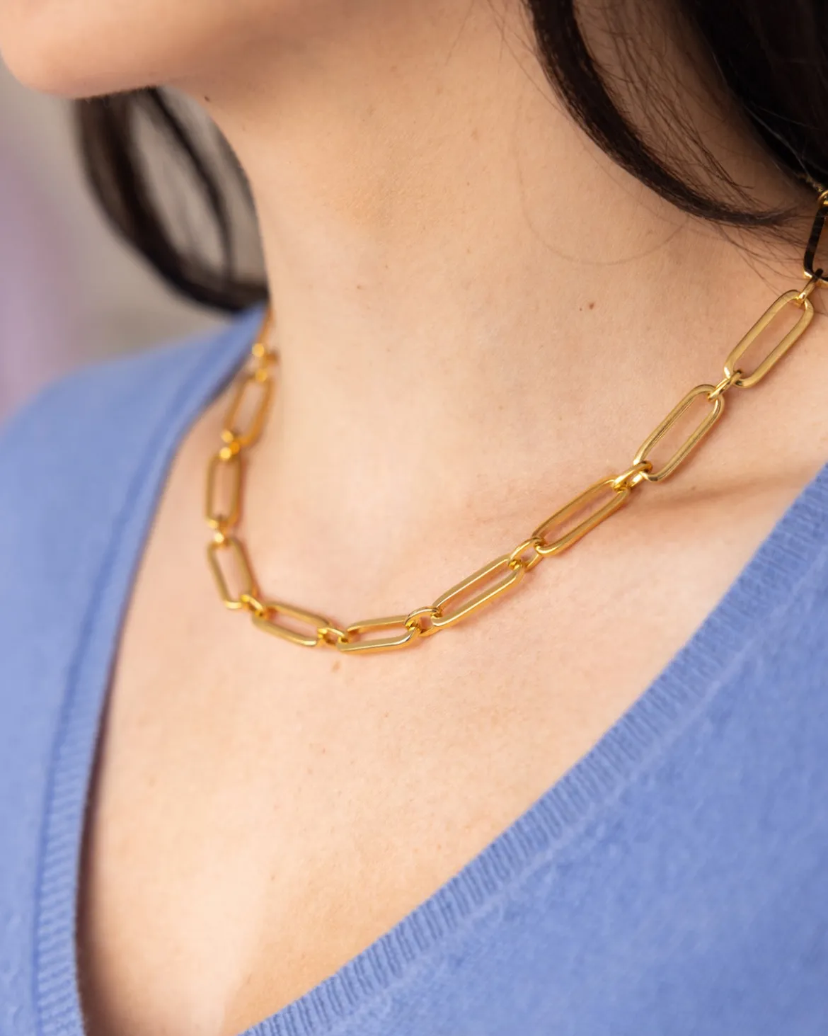 Mixed Link Paperclip Necklace