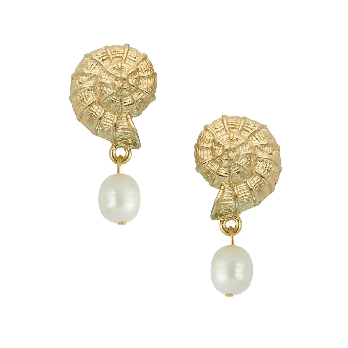 Shell Drop Earrings
