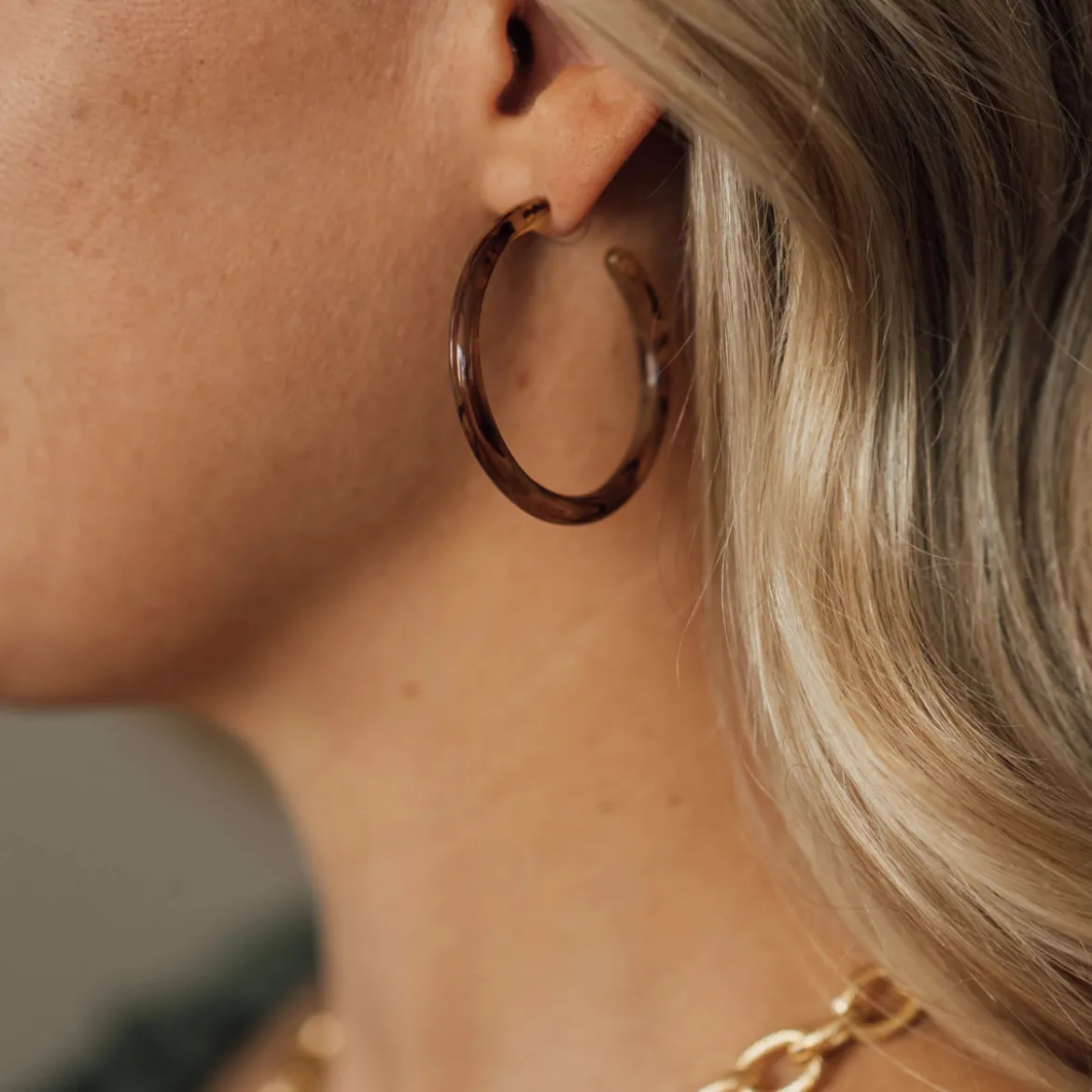 Tortoise Hoops