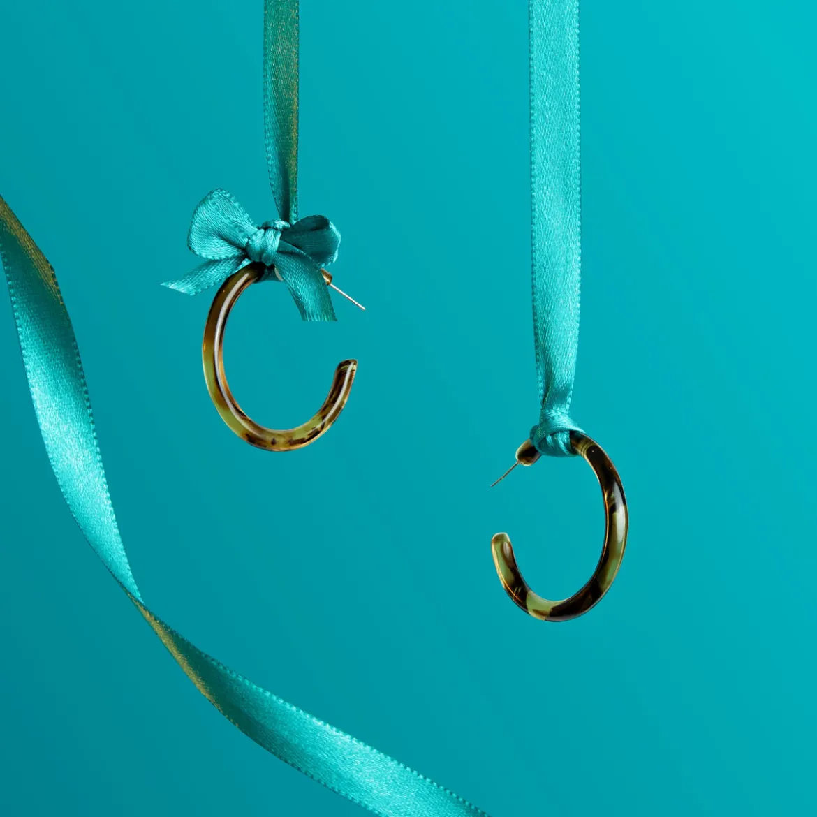 Tortoise Hoops